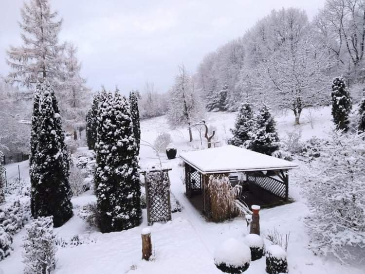 "Agroturystyka Pod Magnolia" Rybnica 33 Esterno foto